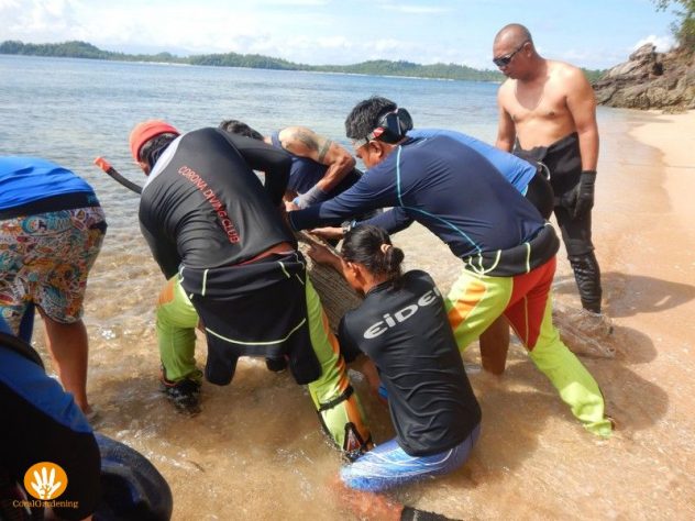 The anchor blocks are brought into the water.