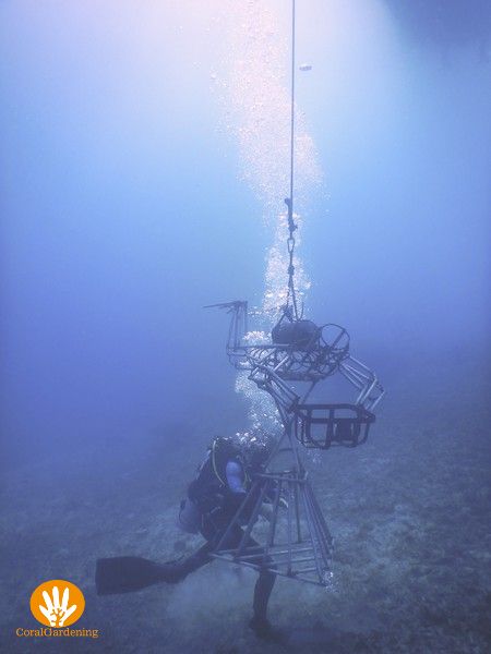 Buddy's discover scuba.
