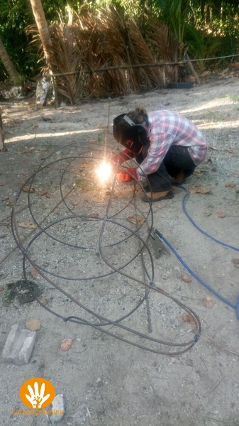 Veran welding the dugong .