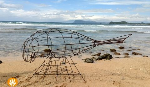 The dugong on the beach.