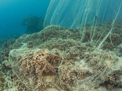 akule-nets-coral-reef-2