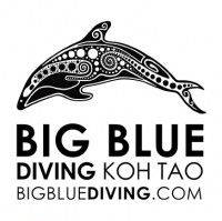 Big Blue Diving Logo - 002