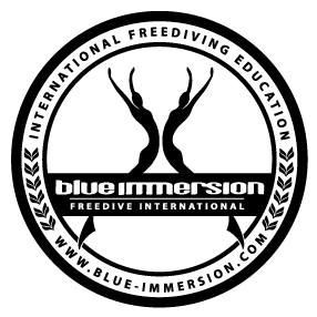 Blue Immersion Logo - 001