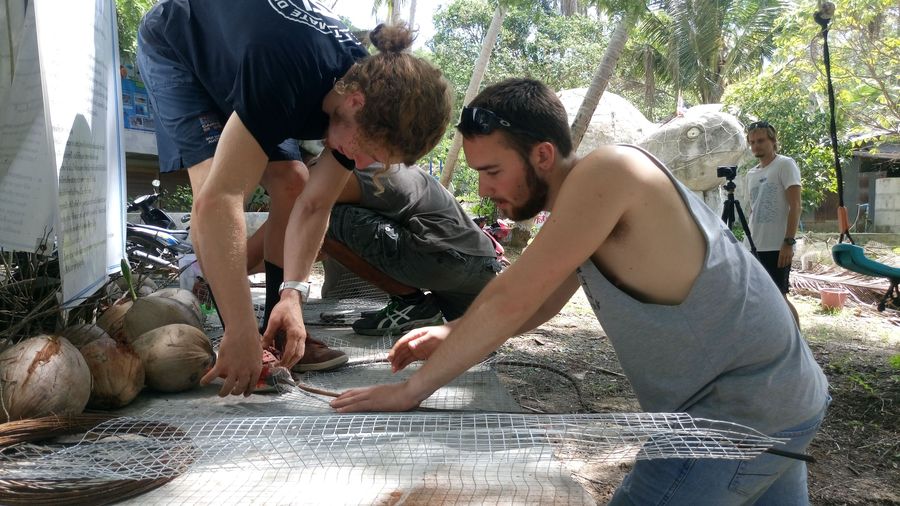 Constructing chickenwire on a leaf.