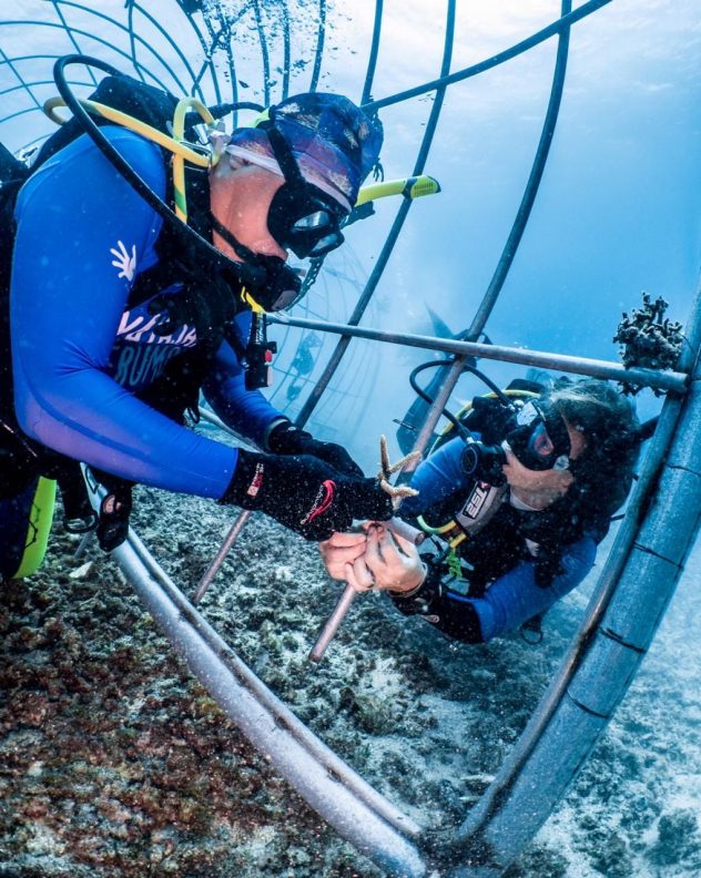 Teguh attaches the first piece of coral, under the watchful eye of Vera.