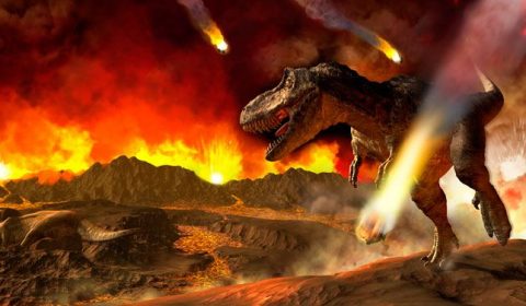 Dinosaurussen stierven uit door meteoriet inslag