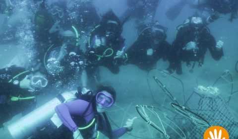 It is a new experience to deploy a structure under water.