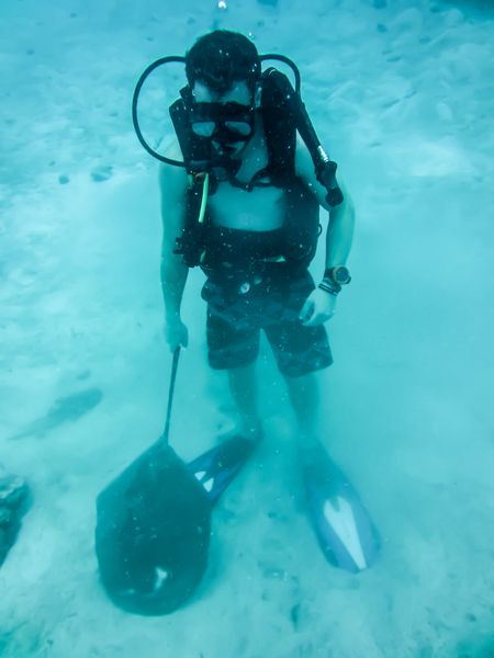 Een duiker met een bloemblad voor de CoralGarden.