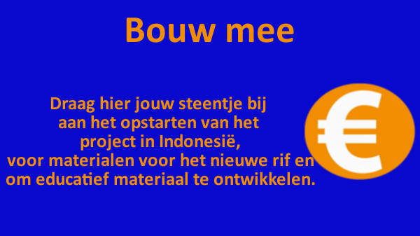 Bouw mee aan het kunstmatig rif CoralGarden