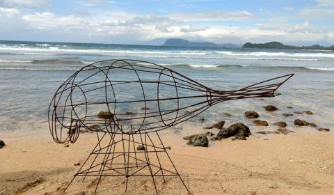 The dugong on the beach.