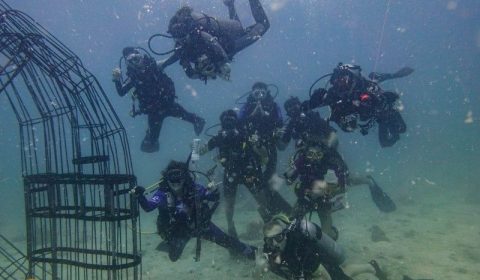 Dream comes true: the hands are under water!