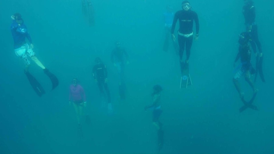 Er zijn veel freedivers betrokken bij het plaatsen van de bloem.