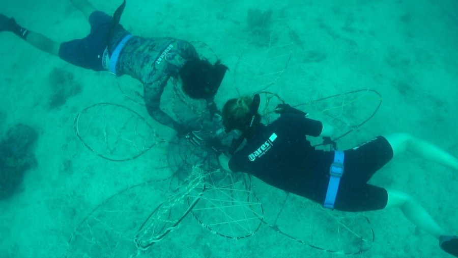 Freedive team monteert een blad in de bloem.
