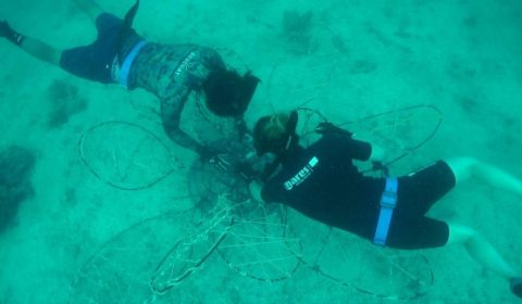 Freedive team monteert een blad in de bloem.