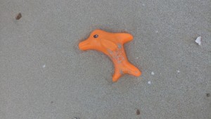 Mijn eerste dolfijn gespot in Thailand…..
