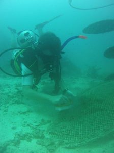 Removing algae from the flower (Uncorrected)
