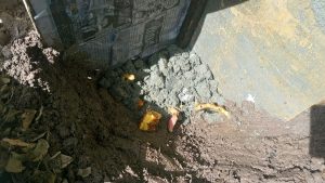 Concrete with fruit waste in the sand mold.