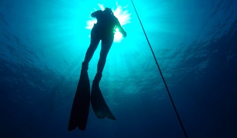 Freediving