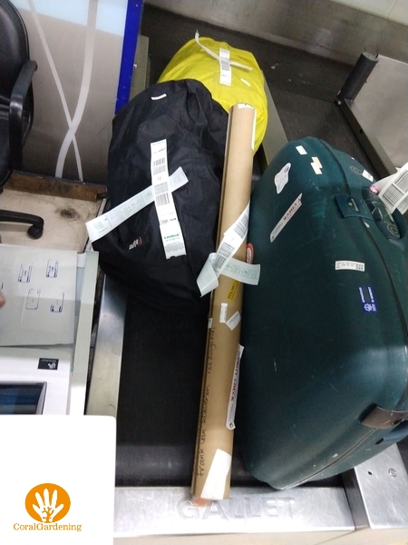 What we were carrying with us to Indonesia.