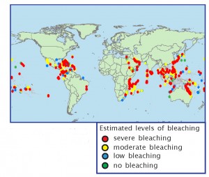 Major bleaching areas recorded for all years