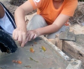 Experiment with fruit on mooring blocks
