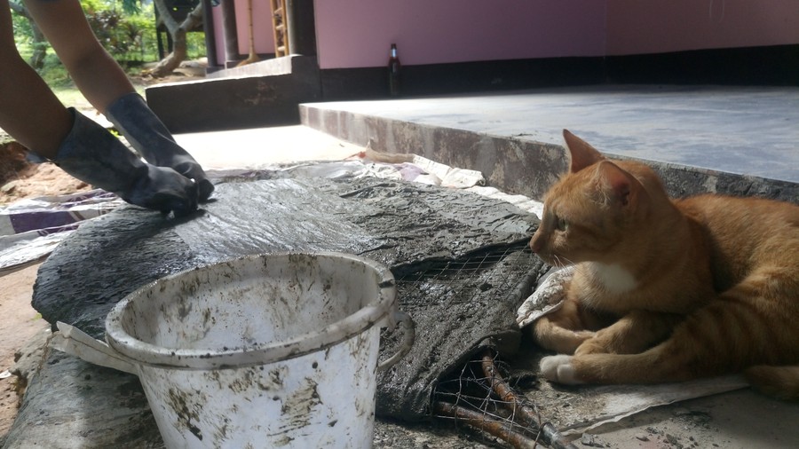 Ninja CoralCat checks the work of CoralGardening
