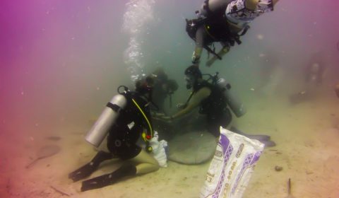 Planting a flower in the Coralgarden