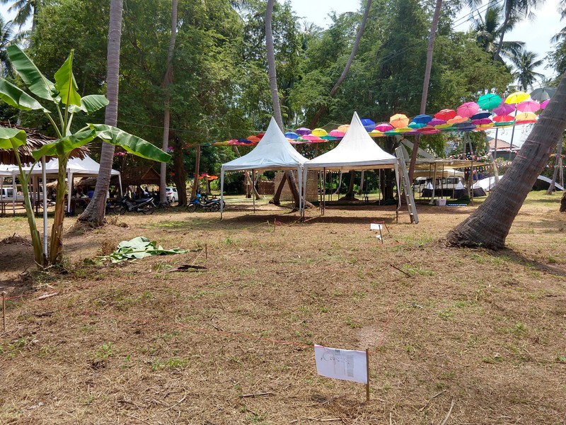 The empty coconut field North in Sairee is transferred to the free Save Koh Tao festival.