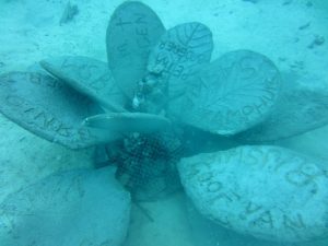 Daar staat de tweede bloem van de CoralGarden Hin Wong Bay.
