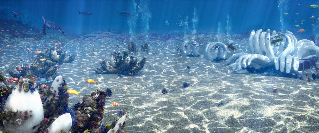 Artist impression from our dream: the CoralGarden