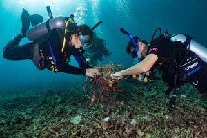 Underwater clean-up around Koh Tha Thailand
