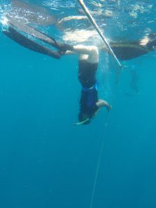 Vera starts here free immersion dive